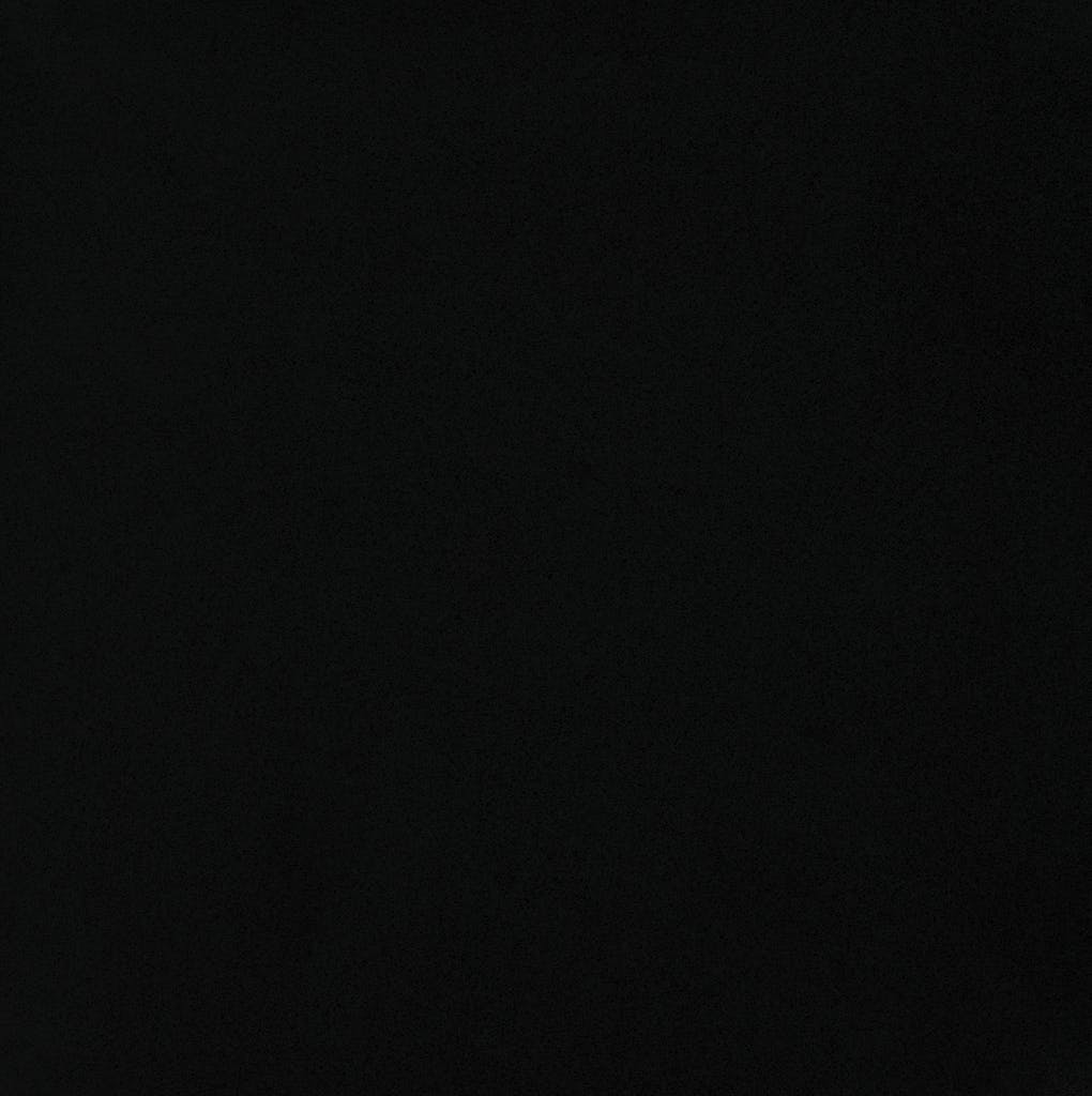 Iconic Black Silestone Quartz Detailed