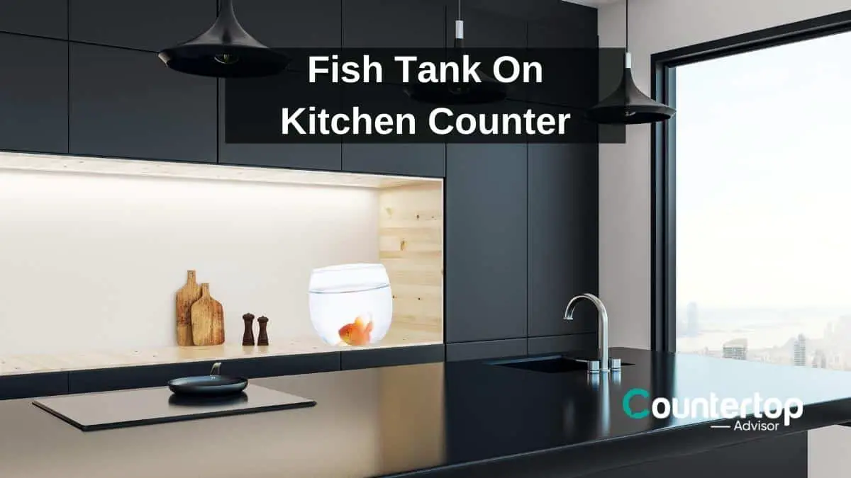 Fish Tank On Kitchen Counter